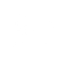 truck icon